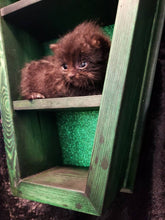 Load image into Gallery viewer, Customizable Small Coffin Shelf (18")